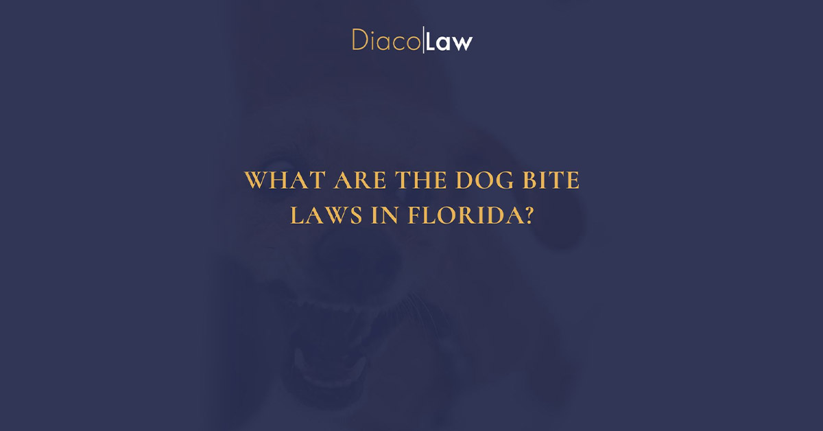 What are the dog bite laws in Florida?